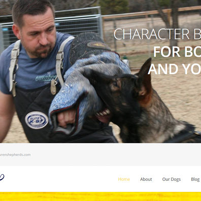 vanBuren Shepherds vanBuren Shepherds